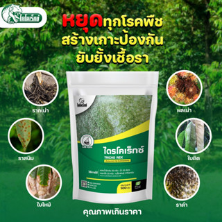 หยุดยั้งทุกปัญหาโรคพืช ที่เกิดจากเชื้อรา 🧫ด้วยไตรโคเร็กซ์🧫 ประกอบด้วย เชื้อไตรโคเดอร์มา คุณภาพเยี่ยม อัดแน่นเต็มซอง