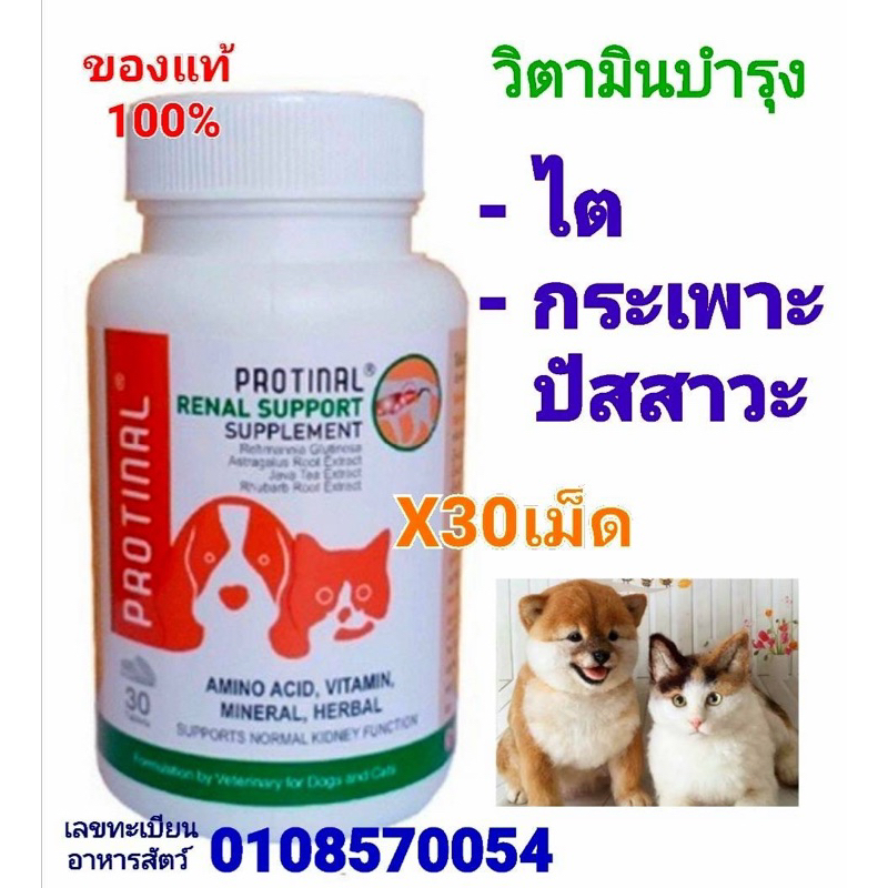 ถูกที่สุด!! protinalวิตามินบํารุงไตและกระเพาะปัสสาวะในสุนัขและแมว30เม็ดถูกที่สุด!!