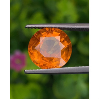 พลอย บุษราคัม yellow sapphire 5.28 กะรัต (Cts.)