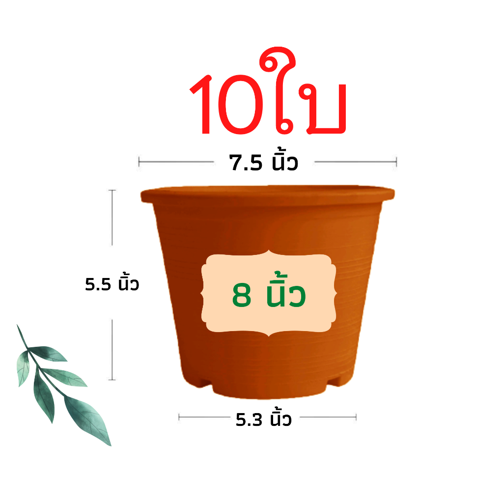 กระถางต้นไม้พลาสติก กระถางต้นไม้ กระถาง สีอิฐ 8 นิ้ว 10ใบ ราคาส่ง