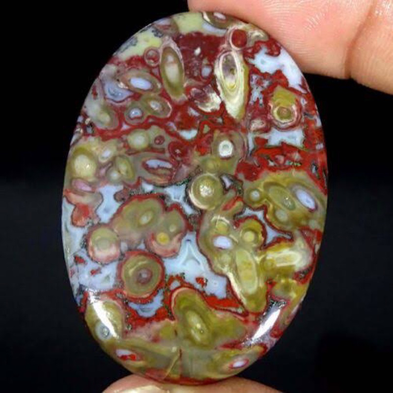 1 pc Natural Palm Root Jasper 2-3 cm Polished Cabochon Stone / Top High Quality Stone / Jewelry Ston