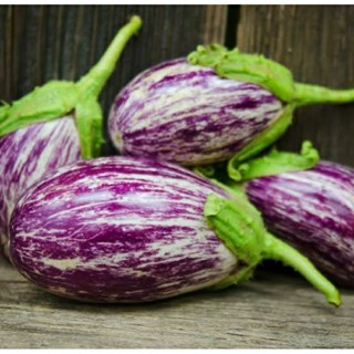 เมล็ดพันธุ์มะเขือลาย ลิสทาด้า เดอร์ แกนเดีย (Listada de Gandia Eggplant Seed) บรรจุ 35 เมล็ด ของแท้ คุณภาพดี ราคาถูก