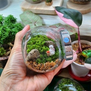 06 สวนขวด Terrarium ของขวัญวันเกิด แต่งบ้าน