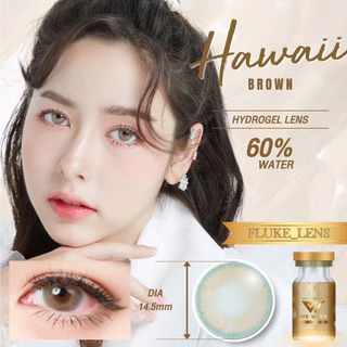 คอนแทคเลนส์ ⭐️ Hydrogel ค่าอมน้ำ60%💦 Hawaii brown (ขนาดโต) We wink เกรดพรีเมียม Made in Korea 🇰🇷