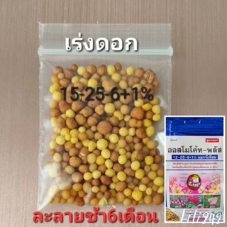 ปุ๋ยออสโมโค้ท พลัส (สูตรเร่งดอก) 12-25-6+1%แมกนีเซียม​ 10กรัม