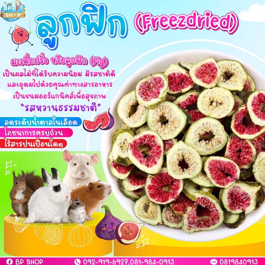 (IPshop) ขนมกระต่าย ลูกฟิก ฟรีซดราย ขนมสัตว์เลี้ยง ขนมกระต่าย แกสบี้ ชินชิลล่า ขนมสัตว์เล็ก