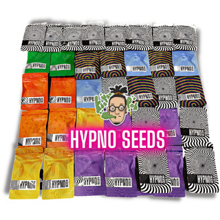 Hypno Seeds เมล็ดนอก นำเข้า 🔥พร้อมส่ง🔥เมล็ดค่าย⭐️Auto/Photo⭐️ยกแพค🌱พันธ์ุนอกแท้100%🌱มีปลายทาง⭐️ผ่อนได้