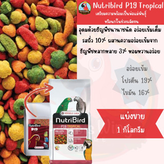 Nutribird P19 สูตรทรอปิคอล (เม็ดสี) แบ่งขาย 1 กิโลกรัม