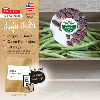 เมล็ดผักนำเข้า ถั่วพุ่ม ถั่วแขก ถั่วเข็ม Bush Bean (Organic Seed) ถั่วไร้ค้าง