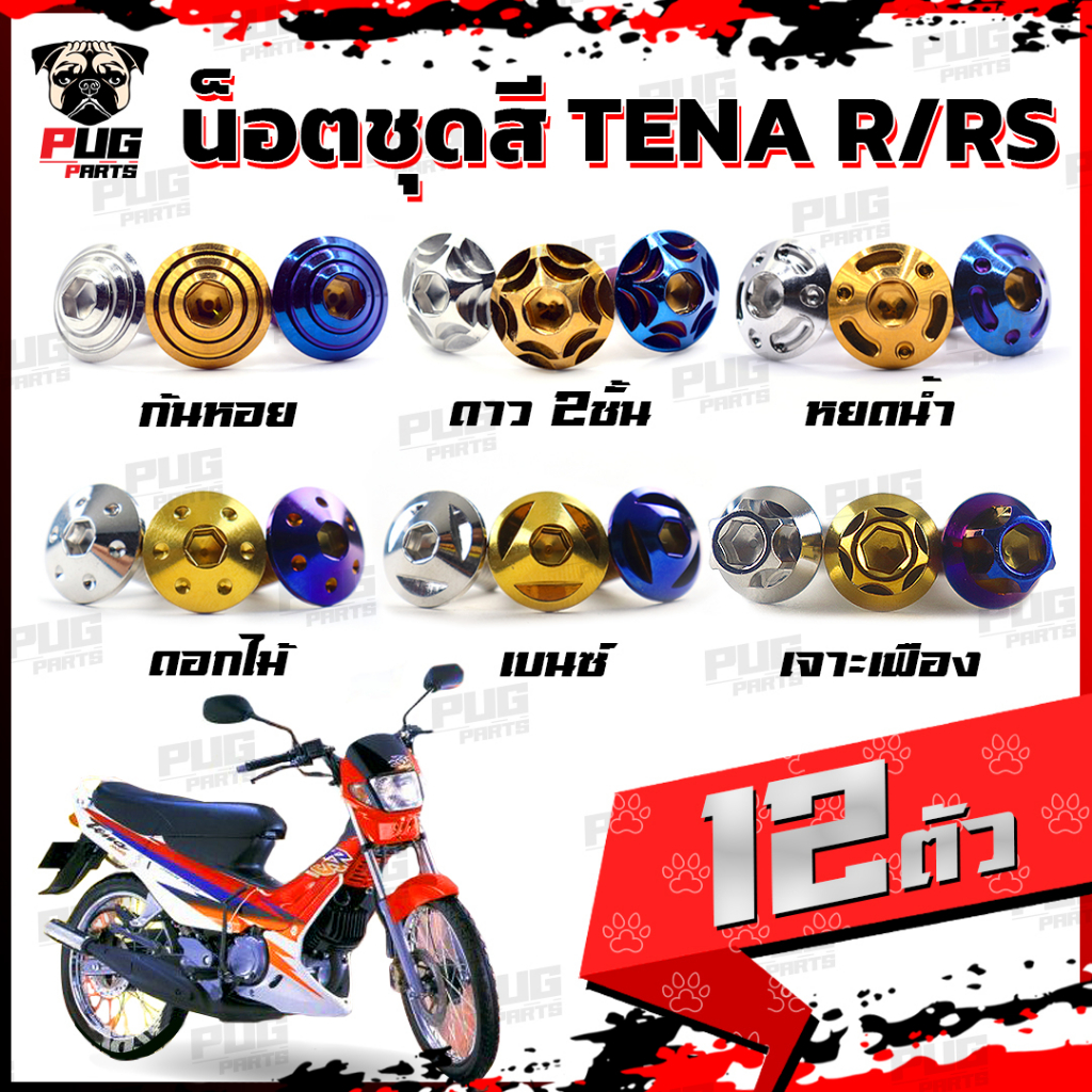 น็อตชุดสีเทน่า (1ชุด=12 ตัว)น็อตชุดสีTena น็อตเฟรมTena น็อตเฟรมเทน่า น็อตTena น็อตเทน่า น็อสแตนเลส