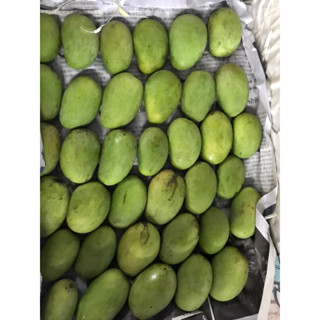 มะม่วงอกร่องกระเทย ลูกจิ๋วแต่เนื้ออร่อยมากๆๆ🥭(1 กก.)