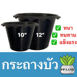 กระถางบัว-จานรอง ขนาด 10นิ้ว,12นิ้ว