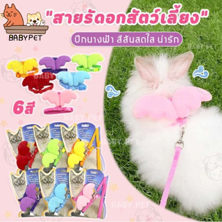 【A】BABY PET😸💟 สายจูงสัตว์เลี้ยง ปีกนางฟ้า สายจูงหมา สายจูงแมว สายจูงน่ารัก สายจูงปีกนางฟ้า 🎀😺