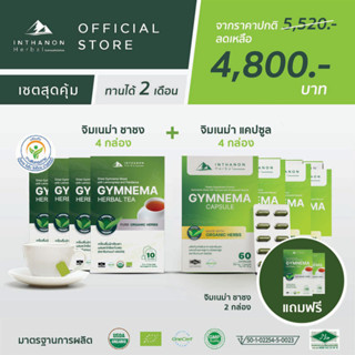 [เซต 2 เดือน] Gymnema Capsule (จิมเนม่า แคปซูล) 4 กล่อง และ Gymnema Tea (จิมเนม่า ชาชง) 4 กล่อง แถมฟรี จิมเนม่า ชาชง 2