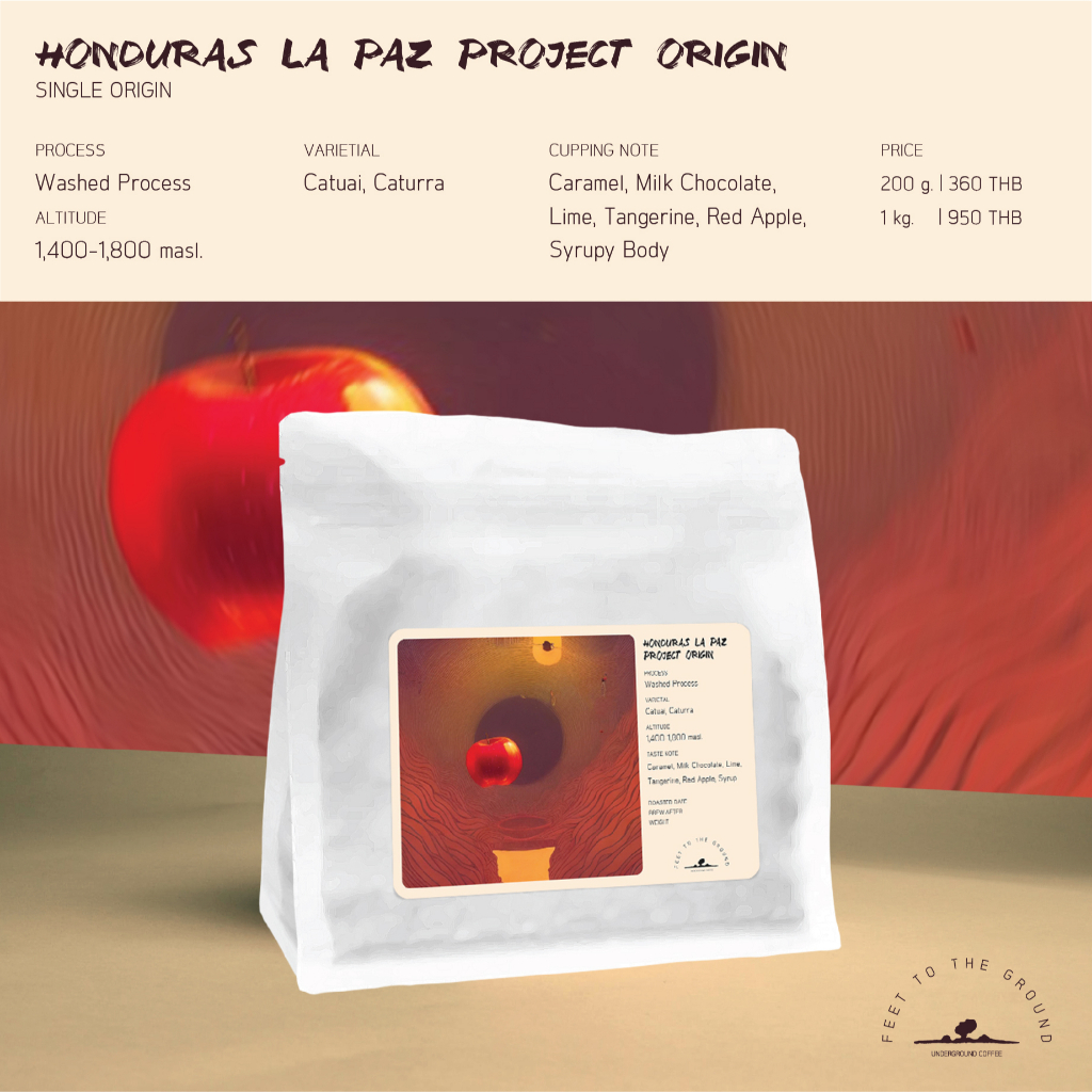 เมล็ดกาแฟ Honduras La Paz - Washed Process แอปเปิ้ล ช๊อกโกแล๊ต Medium Roast FEET TO THE GROUND