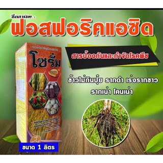 โซรั่ม สารป้องกันกำจัดโรคพืชในขวดเดียว รากเน่า ข้าวไม่กินปุ๋ย ทาหน้ายาง ขนาด 1 ลิตร