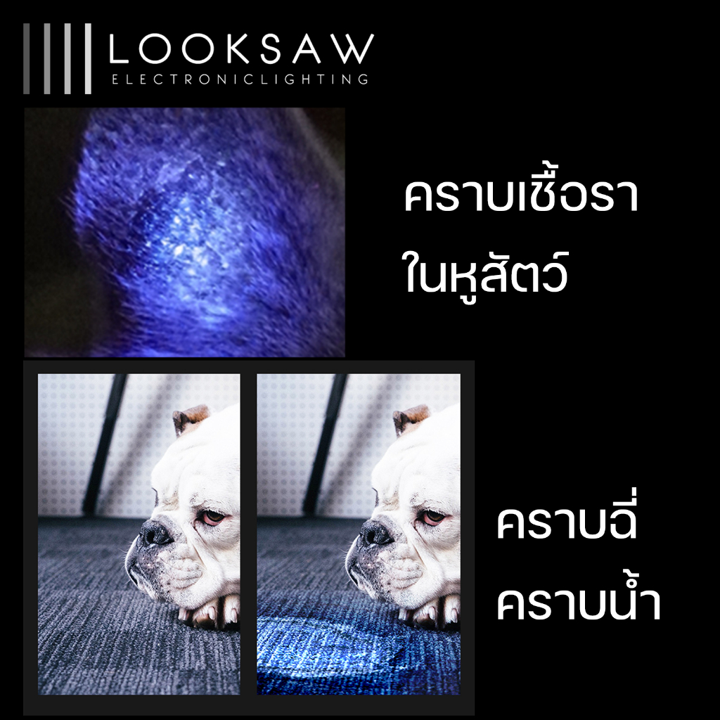 🚨พร้อมส่งจากไทย🚨ไฟฉาย SupFire รุ่น S11-H ไฟฉายส่องฝุ่น ไฟฉายตรวจแบงค์ปลอม ไฟแบล็คไลท์ blacklight ไฟฉายUV ไฟฉายส่องไรสัตว - รูปที่ 4