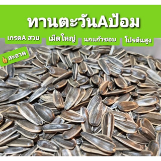 เม็ดทานตะวันAป้อม ขนาด25 กิโลกรัม  แบบกระสอบ กินได้ทุกสายพันธุ์สะอาด เม็ดใหญ่