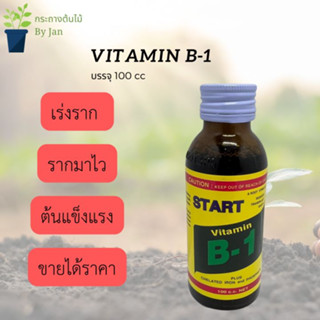 Vitamnin B1 วิตามิน บี 1 เร่งราก สำหรับกิ่งตอน ปักชำ เพาะเมล็ด คุณภาพดี ราคาถูก ขนาด 100 CC.