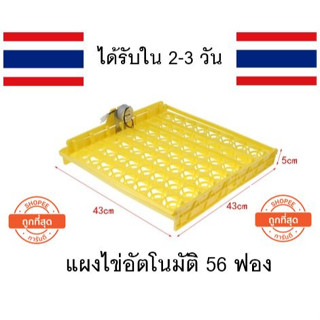 ถาดฟักไข่อัตโนมัติ56 ฟอง