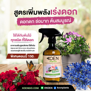 KOEN Plants สูตร 2 เพิ่มพลัง การออกดอกกุหลาบ ดอกดก ดอกใหญ่ เพิ่ม 7 สิ่งความต้องการของกุหลาบ ให้ผลเร็ว