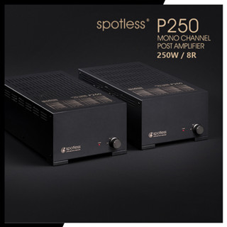 พาวเวอร์แอมป์ | spotless - P250 | monoblock power amplifier | 250 Watt (RMS) (โปรดเช็คสต๊อก)