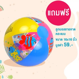 โต๊ะญี่ปุ่นพับได้ 40x60 ซม. ลายการ์ตูน Cinnamoroll แถมฟรี! 🎉ลูกบอลชายหาด - รูปที่ 2