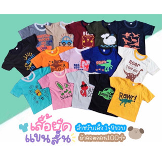 akka เสื้อยืดแขนสั้นเด็ก 1-8 ปี ผ้าคอตตอนแท้ 100% (คุ้มเกินราคา !!!)