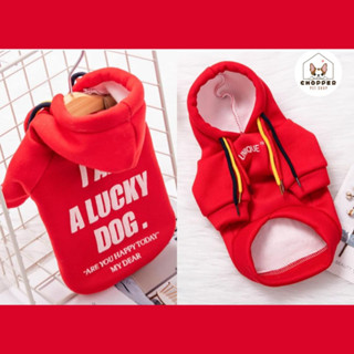 พร้อมส่ง เสื้อหมา เสื้อแมว เสื้อสัตว์เลี้ยงแบบฮูต lucky dog สีแดง ผ้านิ่ม