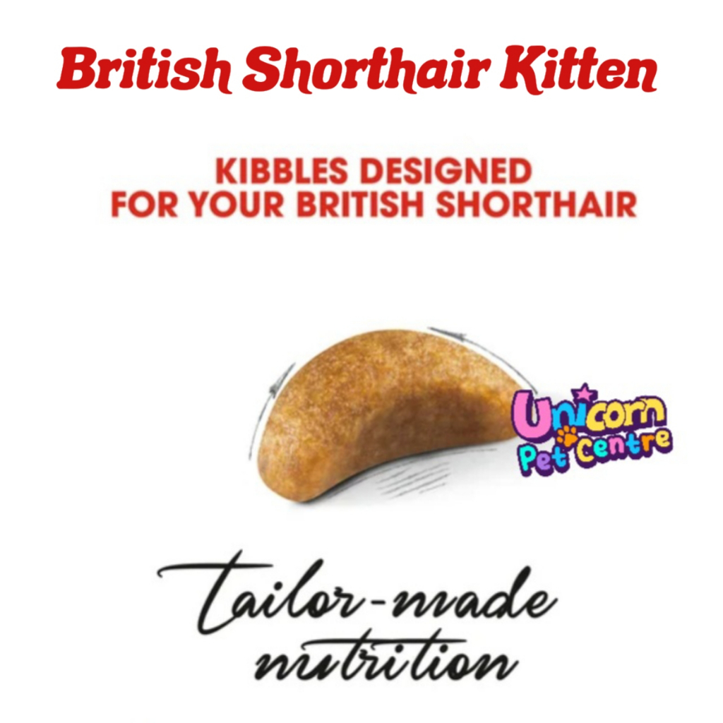 Royal Canin British Shorthair 2kg  / British Shorthair Kitten โรยัลคานิน อาหารแมวโต ลูกแมว บริติช ถุง 2 กก ราคา ถูกที่สุด ดีลบีเคเค แกลเลอรีภาพที่ 3