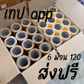เทปขุ่น/ใส 40 ไมครอน กว้าง 2 นิ้ว ยาว 100 หลา (6 ม้วน) อเนกประสงค์