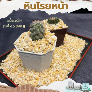 🌵 หินโรย เกล็ดเหลือง เกรด B  เบอร์ 3.5 บรรจุ 500 g. หินโรยกระถาง 🪴🪴 หินโรยหน้ากระถาง หินตกแต่งสวน หินแคดตัส🌵