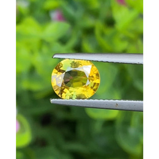 พลอย บุษราคัม yellow sapphire 1.93 กะรัต (Cts.)