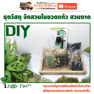 DIY วัสดุอุปกรณ์ ชุดจัดสวนในขวดสวนถาด ไม่มีขวดโหล กดที่รูปภา…