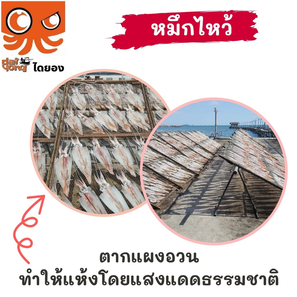หมึกไหว้ หมึกหนังผ่า ตัวใหญ่ยาว 15 นิ้ว (บรรจุ 1-2 ตัว น้ำหนัก 130-250 กรัม) มีสินค้าจริง ส่งไว