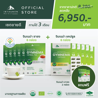 [เซต 3 เดือน] Gymnema Capsule (จิมเนม่า แคปซูล) 6 กล่อง และ Gymnema Tea (จิมเนม่า ชาชง) 6 กล่อง แถมฟรี จิมเนม่า ชาชง 2