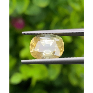 พลอย บุษราคัม Yellow Sapphire 3.45 กะรัต (Cts.)