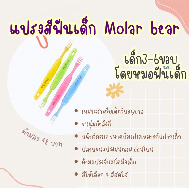 (3-6 ขวบ+)  แปรงสีฟัน Molar Bear ครบ7สี / 7วัน