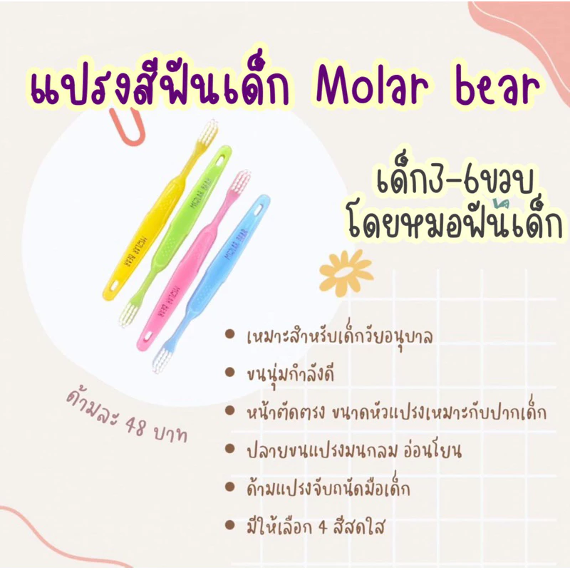 (3-6 ขวบ+) แปรงสีฟัน Molar Bear ครบ7สี / 7วัน