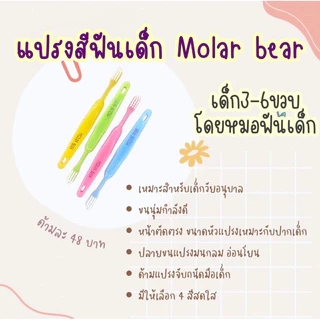 (3-6 ขวบ+) แปรงสีฟัน Molar Bear ครบ7สี / 7วัน