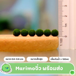 [ของแท้💯%]‼️พร้อมส่ง ส่งใน 1 วัน‼️ มาริโมะญี่ปุ่น🎊มีโปรโมชั่น🎊