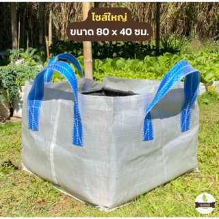 ถุงปลูก​ แบบมีหูหิ้ว​ ขนาด 80 x 40 ซม. ใบใหญ่มาก