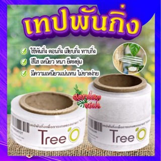 เทปพันกิ่งตอน 🌵 ฟิล์มพันกิ่ง ใช้พันกิ่ง ตอนกิ่ง ทาบกิ่ง สีใส เหนียว หนา ยืดหยุ่น ไม่ขาดง่าย ทนต่อการใช้งาน