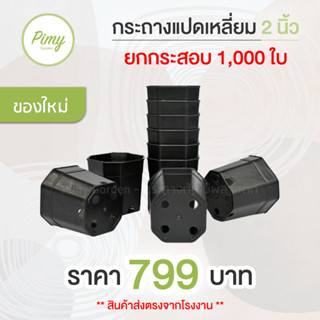 1,000 ใบ กระถาง 2 นิ้ว แปดเหลี่ยม สีดำ กระถางพลาสติก กระถางแคคตัส ส่งตรงจากโรงงานผลิต