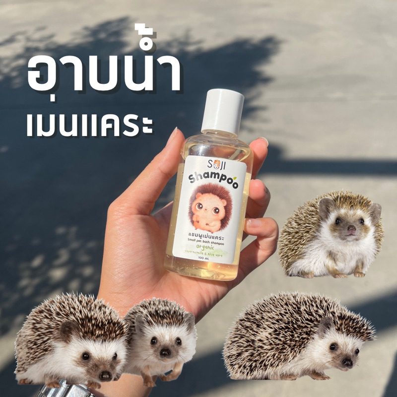 พร้อมส่ง แชมพูอาบเม่นแคระ 100ml สัตว์เลี้ยงขนาดเล็ก สูตรออร์แกนิด อ่อนโยน กลิ่นหอมละมุน pHเหมาะสมกับผิวหนังสัตว์ 100ml