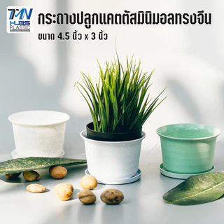 กระถางปลูกแคตตัสมินิมอลทรงจีนสีหินอ่อน ขนาด 4.5" x 3" ราคาถูก กระถางพลาสติก กระถางต้นไม้กระถางดอกไม้