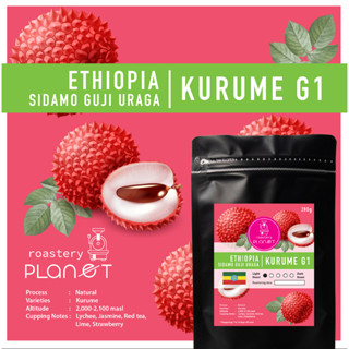 เมล็ดกาแฟคั่ว Ethiopia Sidamo Guji Uraga Kurume G1 (คั่วอ่อน)