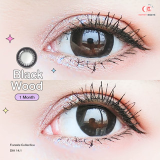 คอนแทคเลนส์ Blackwood พร้อมส่งแบบปกติ และค่าสายตาสั้น 0.00- 6.00 (สายตาที่มีในลิสกดสั่งได้เลยค่า)