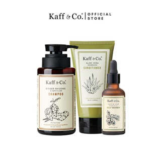 Kaff &amp; Co. แชมพูสารสกัดเหง้าขิง &amp; ครีมนวดผม &amp; ทรีทเม้นท์น้ำมันมะกรูด ชุดลดความมัน ลดอาการคัน มีกลิ่น