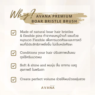 AVANA PREMIUM BOAR BRISTLE BRUSH หวีขนหมูป่า ผมเงางาม นุ่มเด้ง ในพริบตา